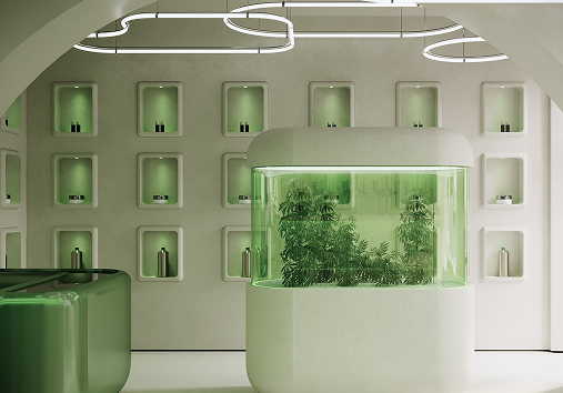 AnyWeed Cannabis Shop München